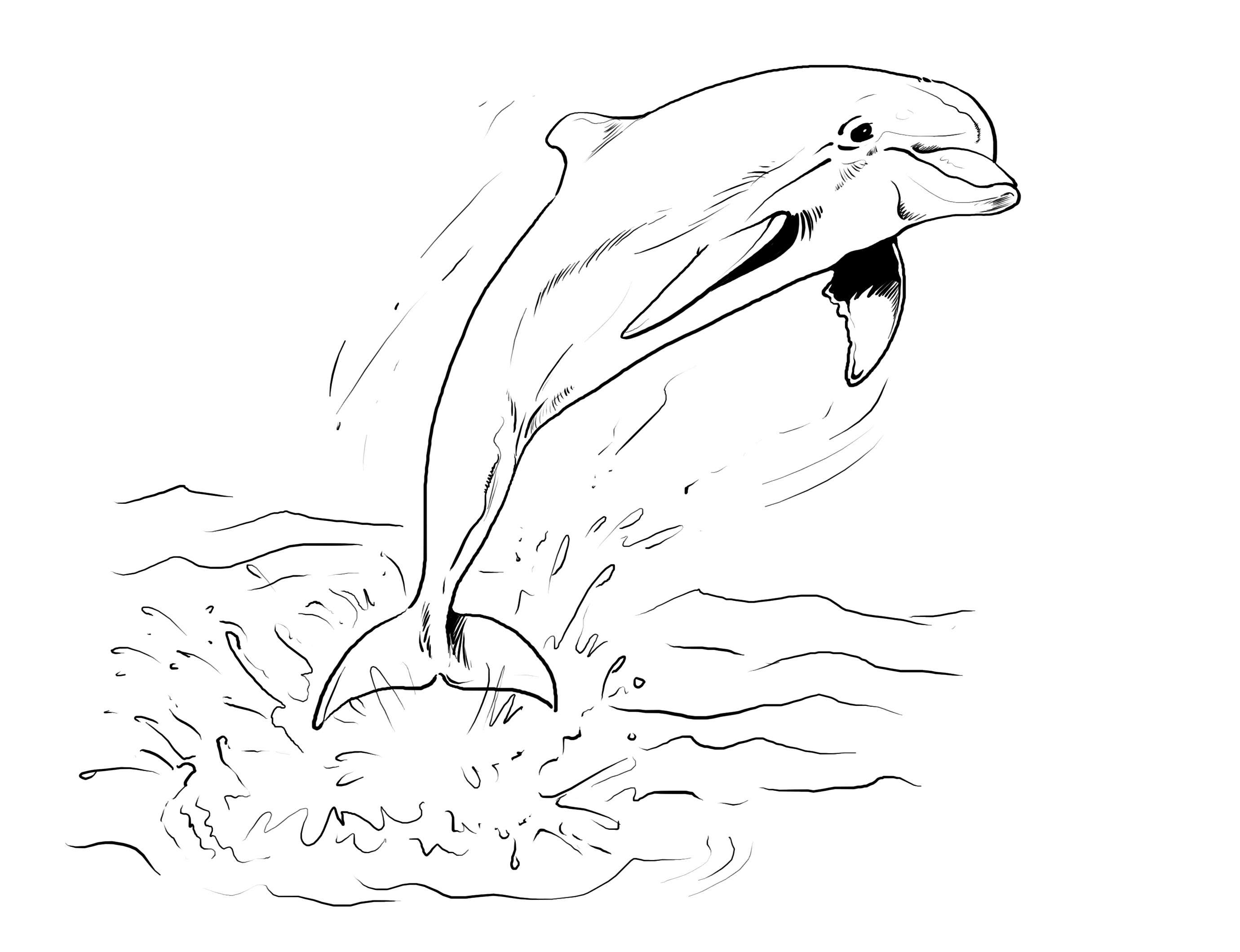 Раскраска Дельфин карандашом